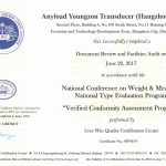 Anyload VCAP Certificate 2017