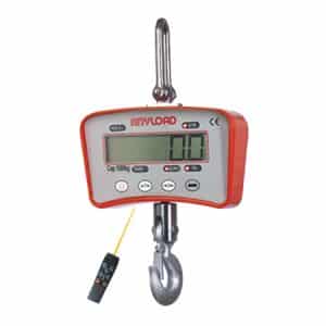 ANYLOAD | OCSM2 Crane Scale
