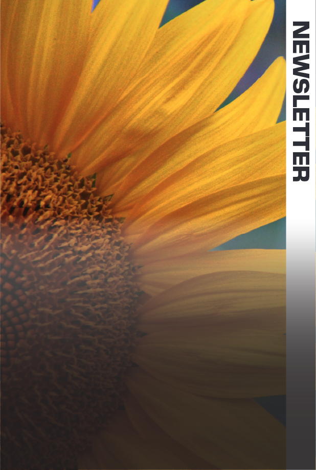 ANYLOAD Weigh & Measure Load Cells and Custom Weighing Solutions