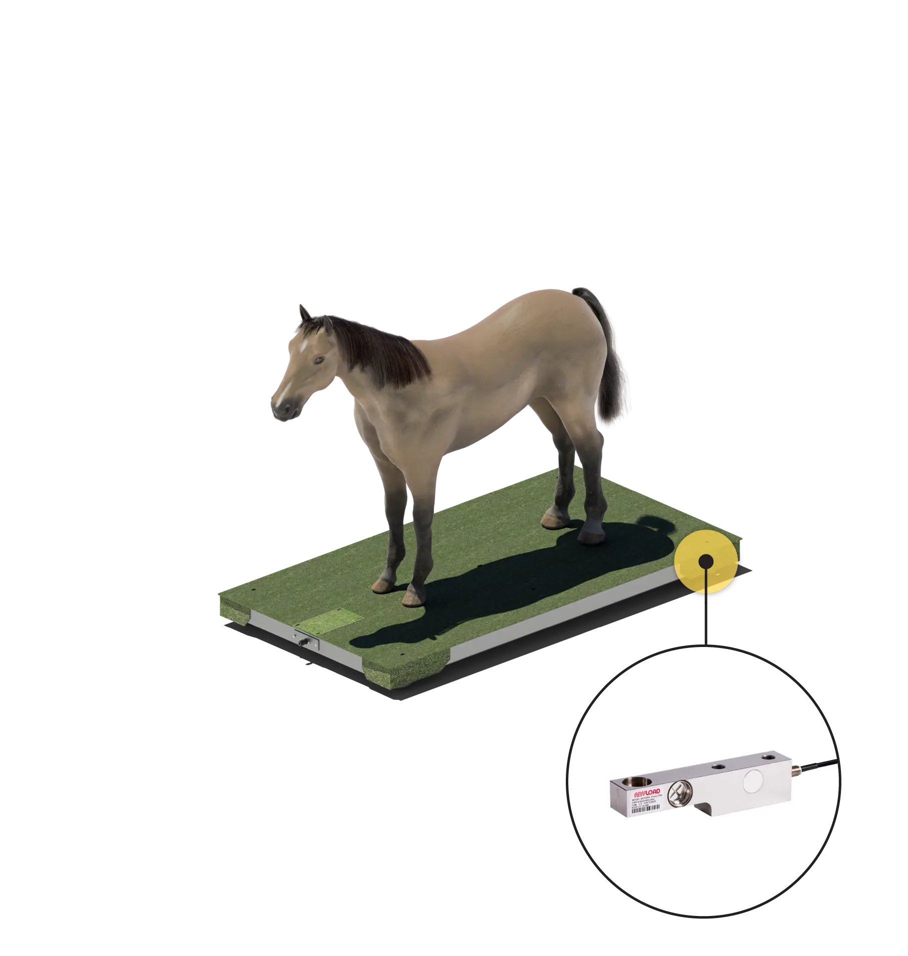 Veterinary-C3