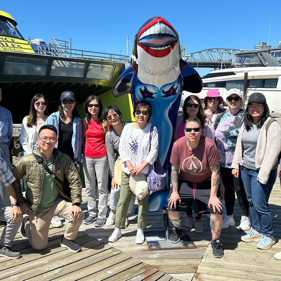 ANYLOAD-Team-Whale-Watching