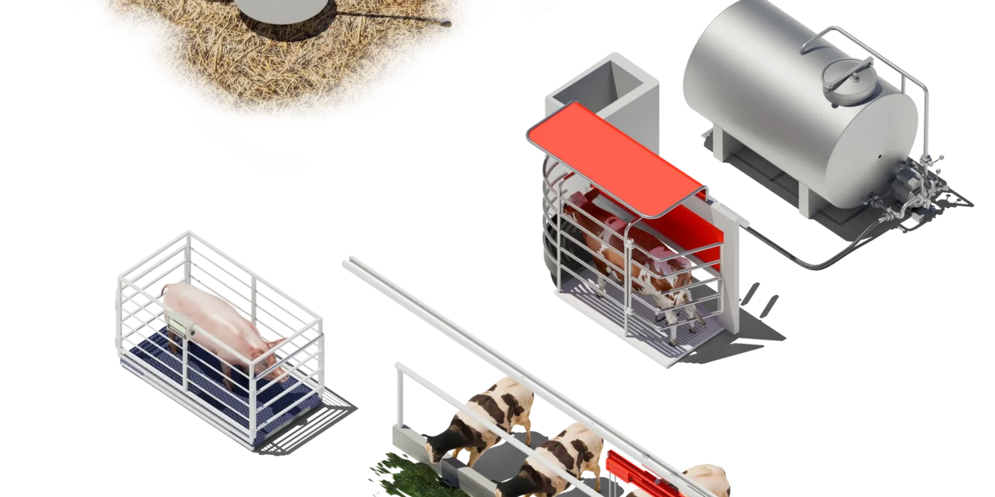 Livestock-Letter